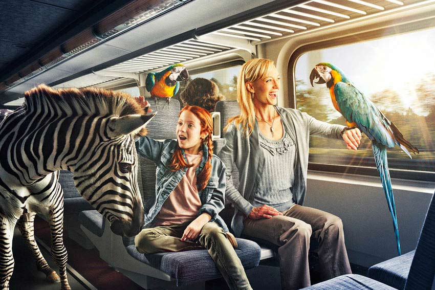 重塑竞争优势的DDOS压力测试网页端